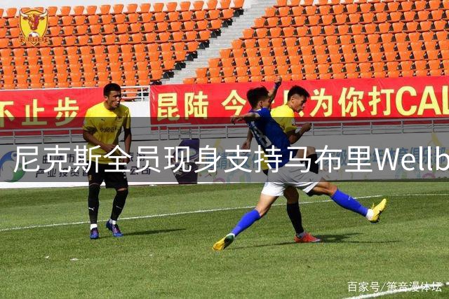 尼克斯全员现身支持马布里Wellball活动