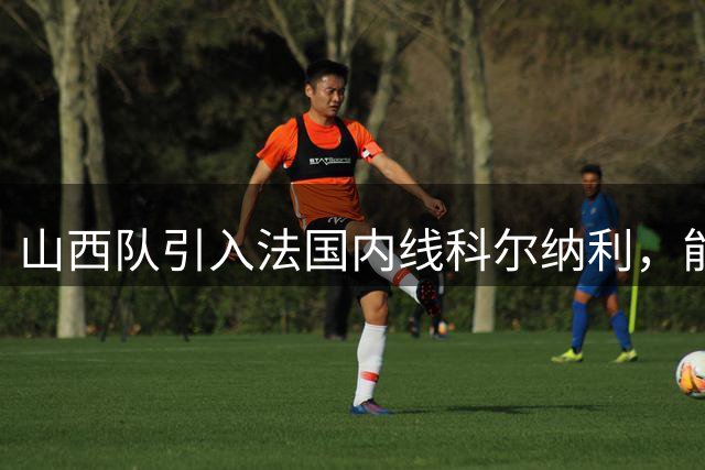 山西队引入法国内线科尔纳利，能否填补大外援缺口引质疑